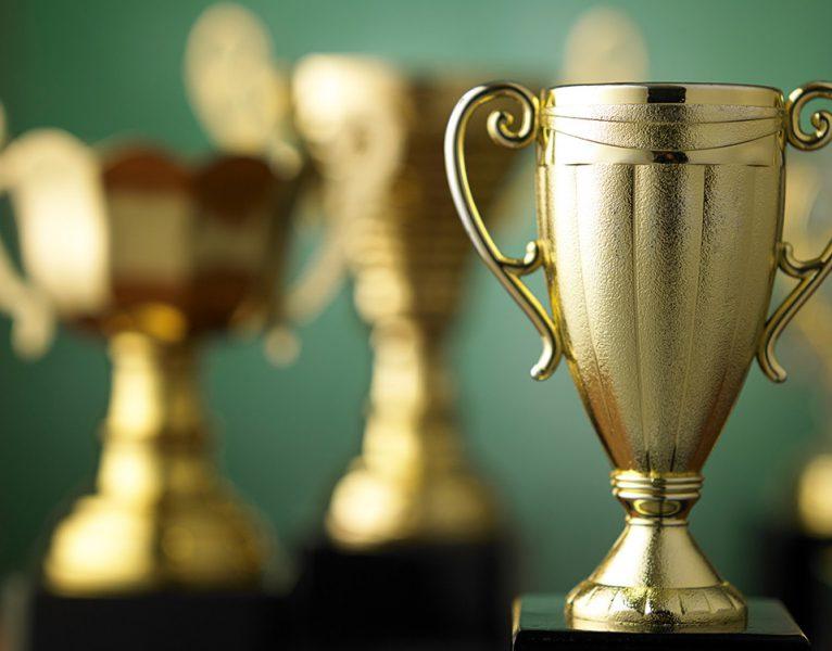 Dr. Michael's professional accolades and memberships